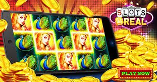 54bet